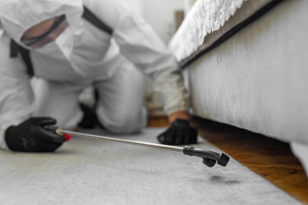Professional Ant Control technician working in Leslie, MI