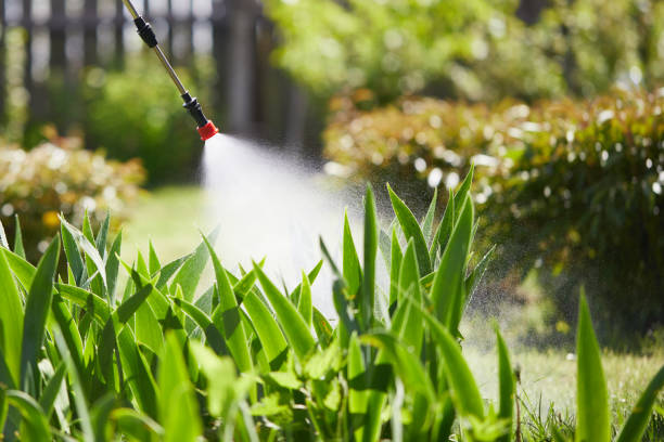 24/7 Emergency Ant Control experts in Leslie, MI