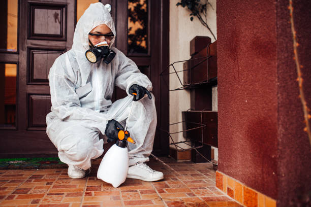 Reliable Ant Control contractor in Leslie, MI by Show Me Pest Control