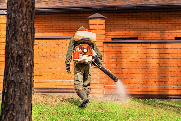 Top rated local Ant Control specialists in Leslie, MI